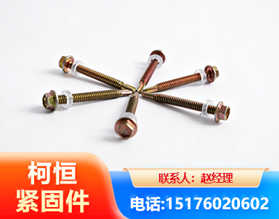 河源六角钻尾丝